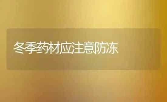 冬季药材应注意防冻 | 药材种植