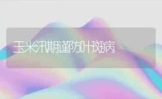 玉米汛期谨防叶斑病 | 粮油作物种植