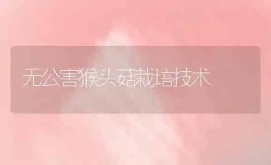 无公害猴头菇栽培技术 | 食用菌种植