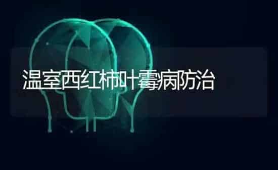 温室西红柿叶霉病防治 | 蔬菜种植