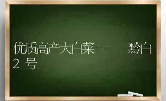 优质高产大白菜---黔白2号 | 蔬菜种植