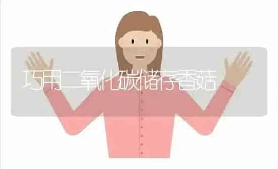巧用二氧化碳储存香菇 | 食用菌种植