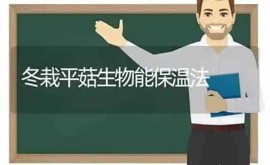 冬栽平菇生物能保温法 | 食用菌种植