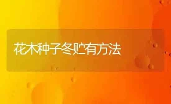 如何促进樱桃采后花芽分化？ | 瓜果种植