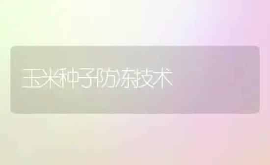 玉米种子防冻技术 | 粮油作物种植