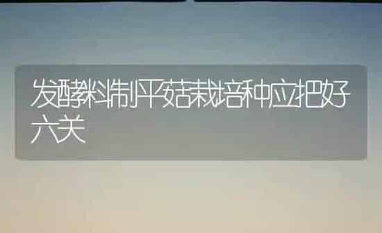 发酵料制平菇栽培种应把好六关 | 食用菌种植