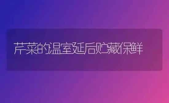 芹菜的温室延后贮藏保鲜 | 蔬菜种植