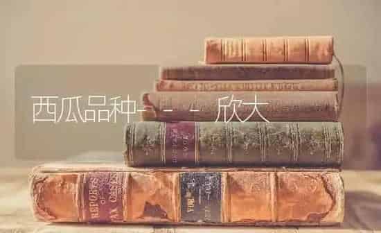西瓜品种---欣大 | 瓜果种植