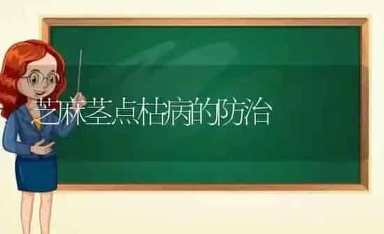 芝麻茎点枯病的防治 | 粮油作物种植