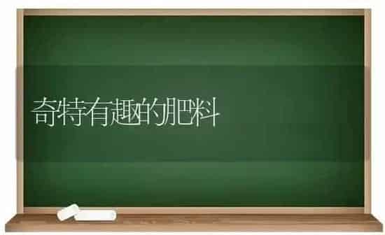奇特有趣的肥料 | 种植肥料施肥