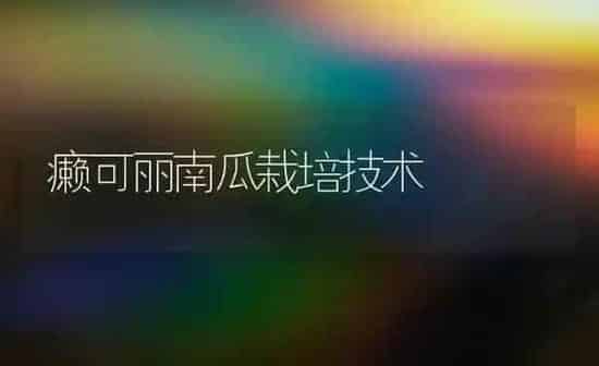 癞可丽南瓜栽培技术 | 蔬菜种植