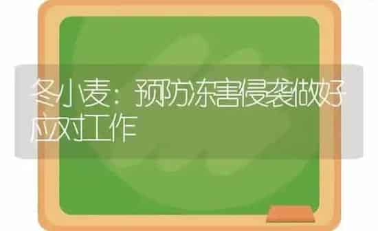 冬小麦：预防冻害侵袭做好应对工作 | 粮油作物种植