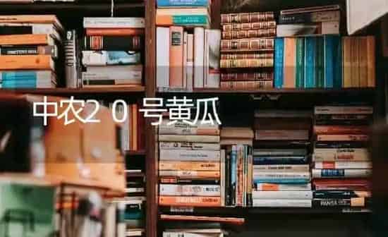 中农20号黄瓜 | 蔬菜种植
