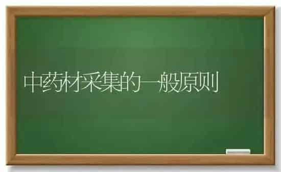 中药材采集的一般原则 | 药材种植