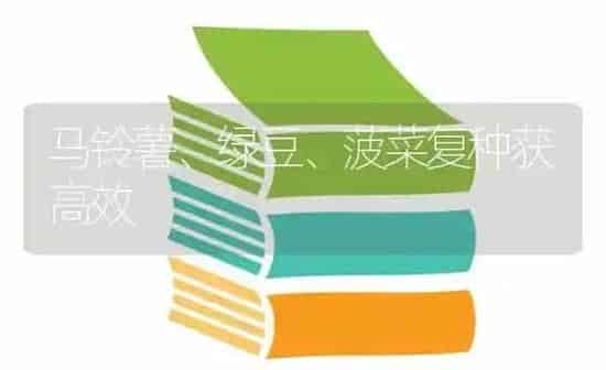 马铃薯、绿豆、菠菜复种获高效 | 蔬菜种植