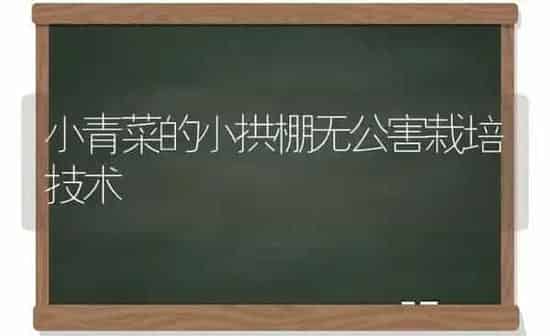 小青菜的小拱棚无公害栽培技术 | 蔬菜种植