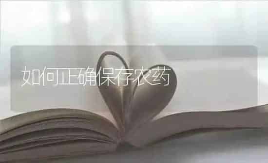 如何正确保存农药 | 种植病虫害防治