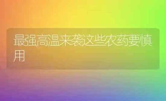 最强高温来袭这些农药要慎用 | 种植病虫害防治