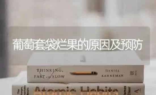 葡萄套袋烂果的原因及预防 | 瓜果种植