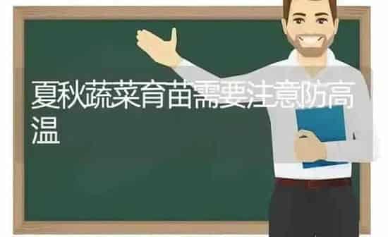 夏秋蔬菜育苗需要注意防高温 | 蔬菜种植