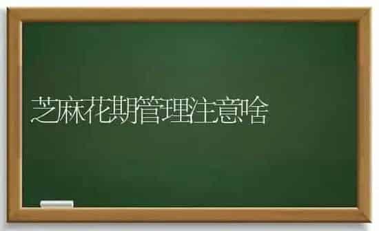 芝麻花期管理注意啥 | 粮油作物种植