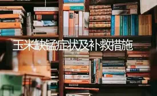 玉米缺锰症状及补救措施 | 粮油作物种植