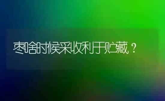 枣啥时候采收利于贮藏？ | 瓜果种植