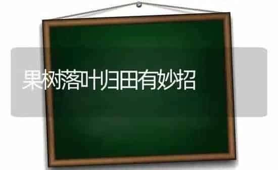 果树落叶归田有妙招 | 瓜果种植