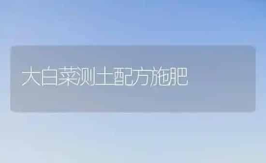 大白菜测土配方施肥 | 种植肥料施肥