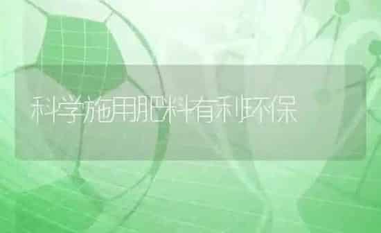 科学施用肥料有利环保 | 种植肥料施肥