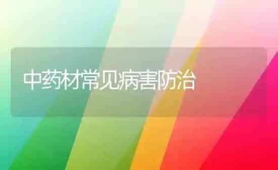 中药材常见病害防治 | 药材种植