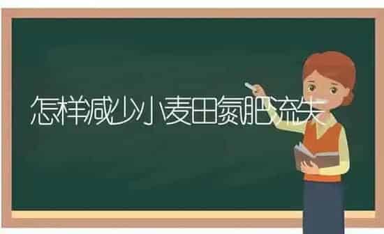 怎样减少小麦田氮肥流失 | 粮油作物种植