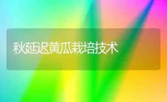 秋延迟黄瓜栽培技术 | 蔬菜种植