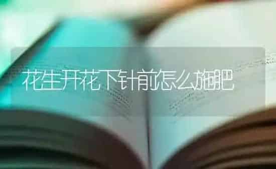 花生开花下针前怎么施肥 | 种植肥料施肥
