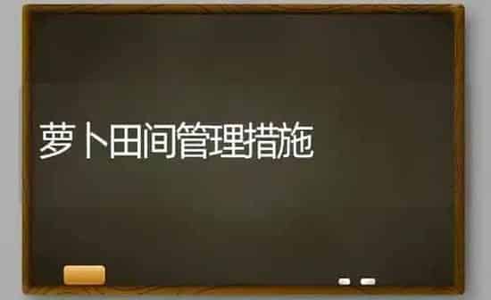 萝卜田间管理措施 | 蔬菜种植