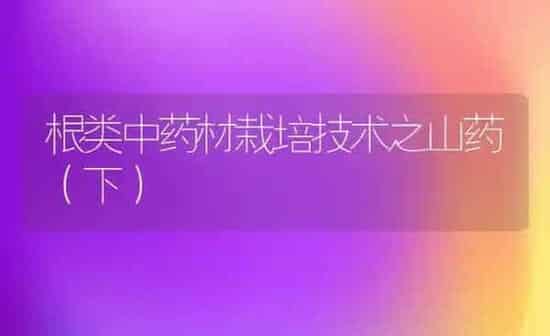 根类中药材栽培技术之山药(下) | 药材种植