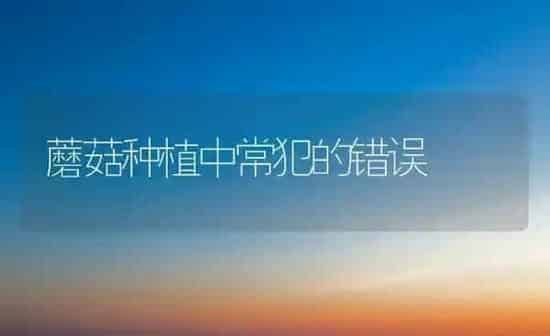蘑菇种植中常犯的错误 | 食用菌种植
