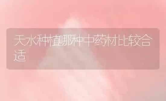 天水种植哪种中药材比较合适 | 药材种植