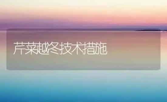 芹菜越冬技术措施 | 蔬菜种植