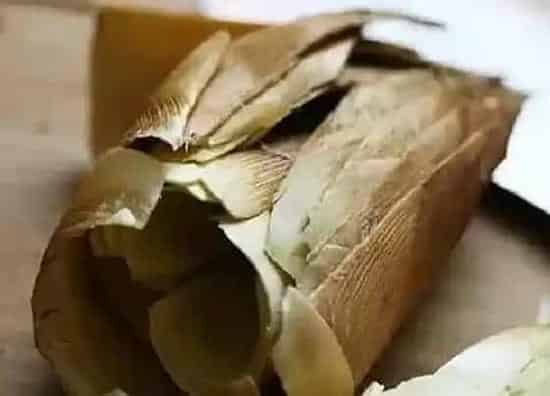 植物施肥|竹笋壳可以做肥料吗