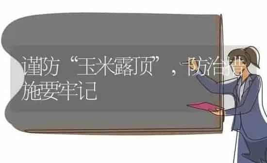 谨防“玉米露顶”，防治措施要牢记 | 粮油作物种植