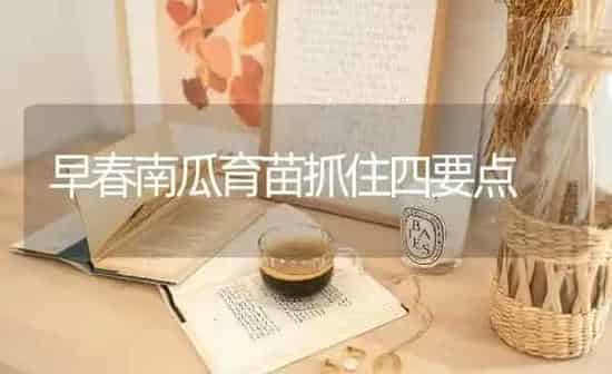 早春南瓜育苗抓住四要点 | 蔬菜种植