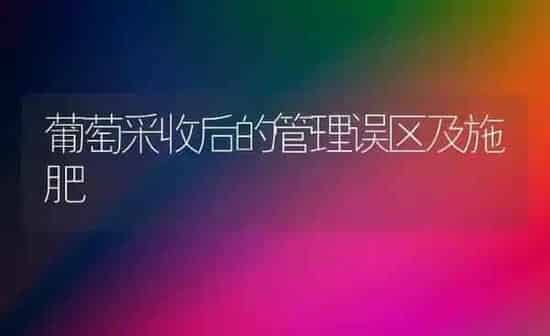葡萄采收后的管理误区及施肥 | 种植肥料施肥