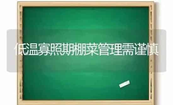 低温寡照期棚菜管理需谨慎 | 蔬菜种植