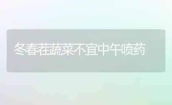 冬春茬蔬菜不宜中午喷药 | 蔬菜种植