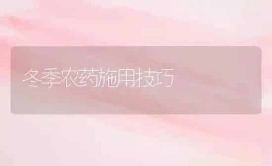 冬季农药施用技巧 | 种植病虫害防治