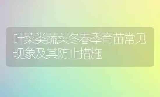 叶菜类蔬菜冬春季育苗常见现象及其防止措施 | 蔬菜种植