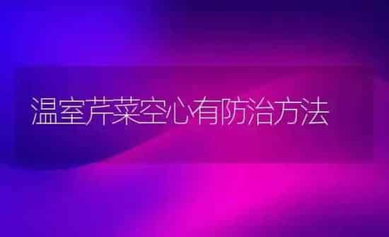 温室芹菜空心有防治方法 | 蔬菜种植