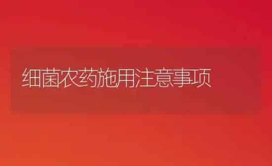 细菌农药施用注意事项 | 种植病虫害防治