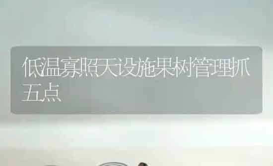 低温寡照天设施果树管理抓五点 | 瓜果种植